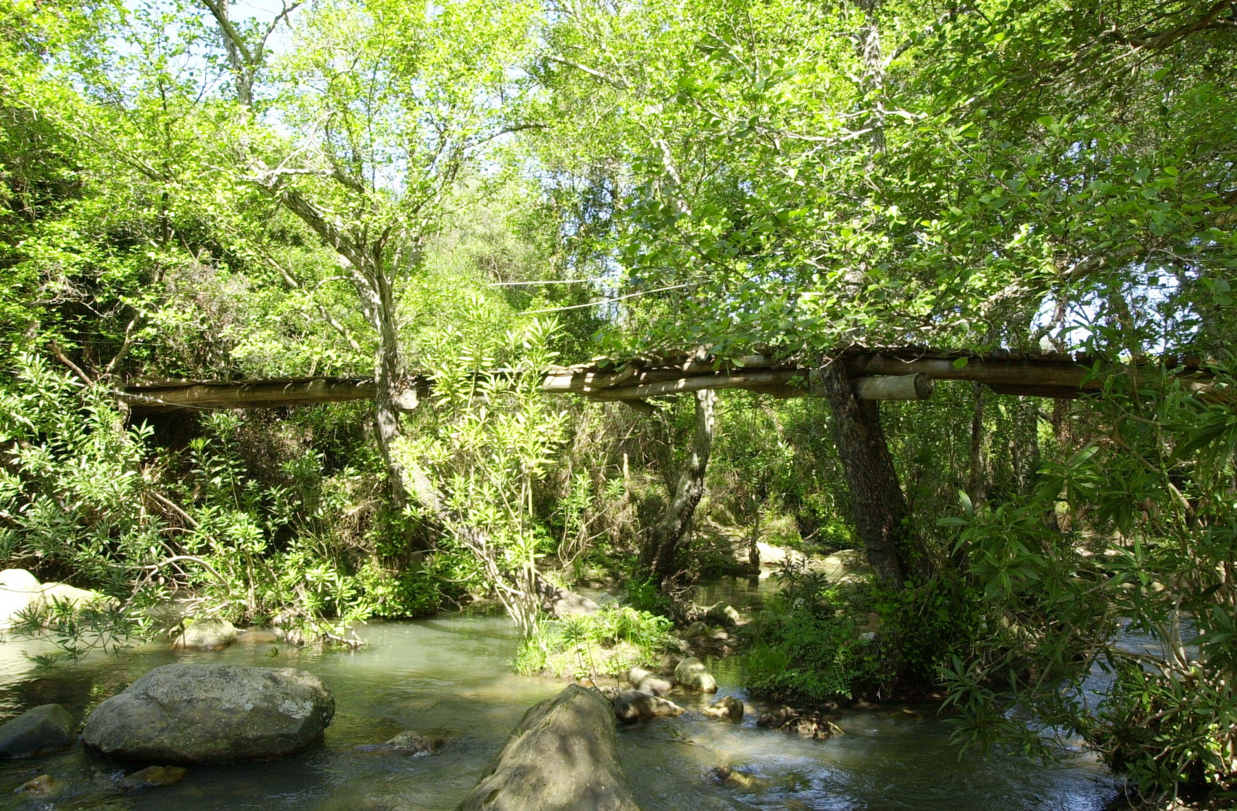 Eine Faszinierende Natur findet man um Tarifa herum