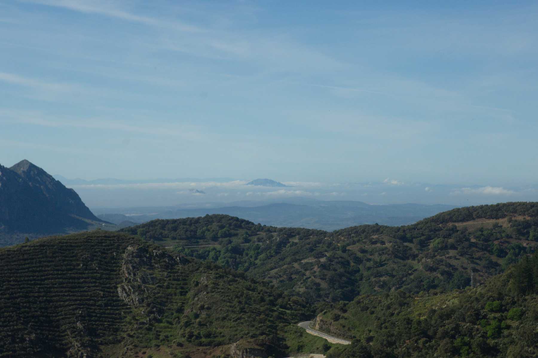 Der Weg nach Ronda ist schon ein Genuss